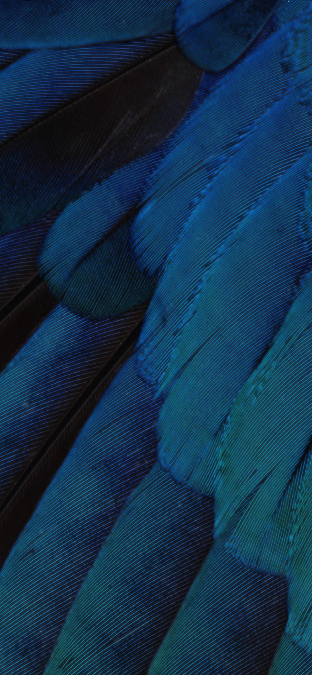 Pattern feathers blue green cool iOS9 | wallpaper.sc ...