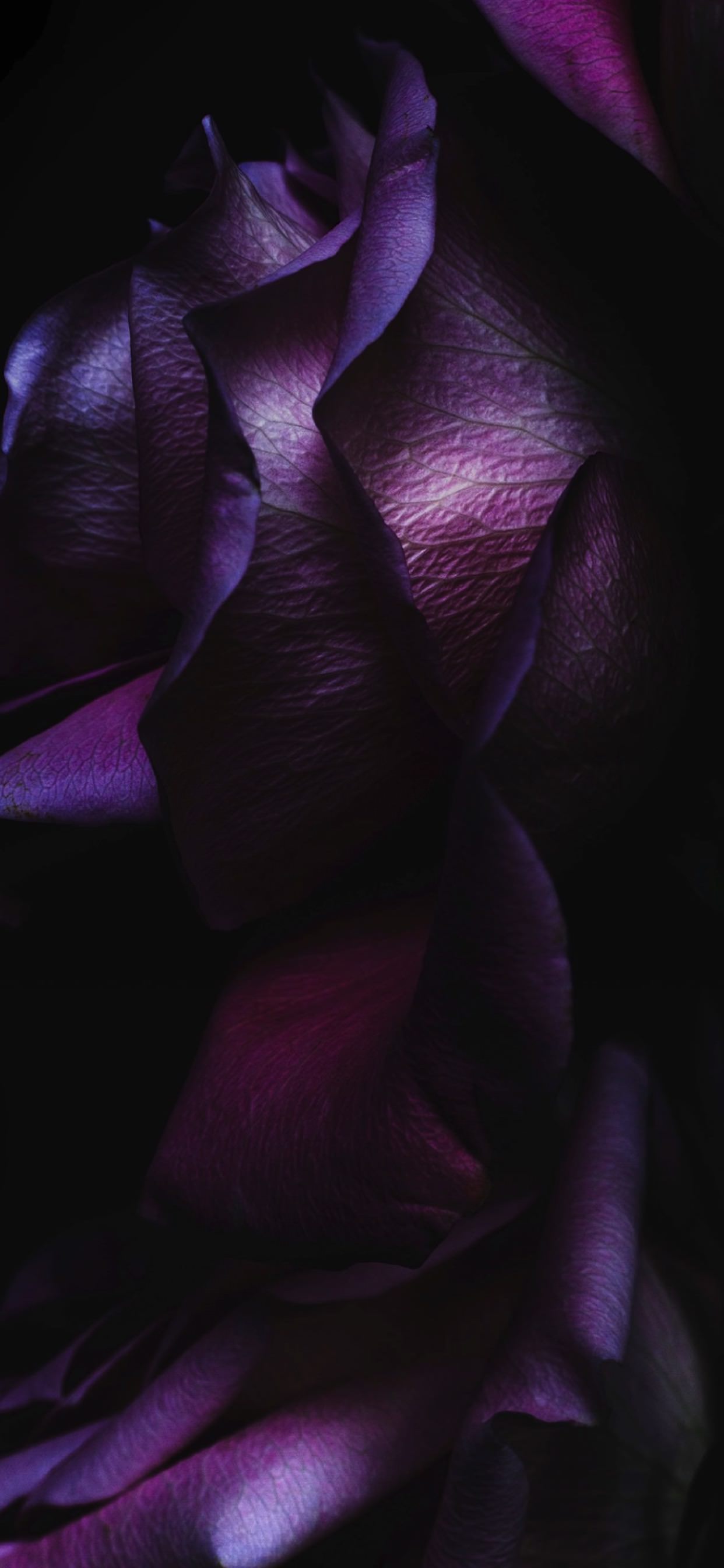 Black purple cool iOS9 | wallpaper.sc iPhone XS Max