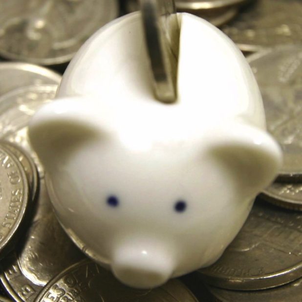 Pig piggy bank money coins iPhoneXSMax Wallpaper