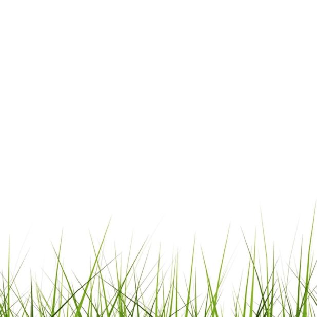Cool lawn green iPhoneXSMax Wallpaper