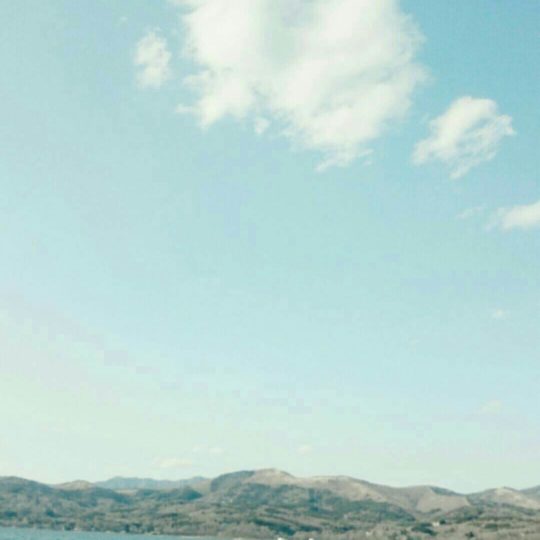 Lago Cisne Fondo de Pantalla SmartPhone para Android