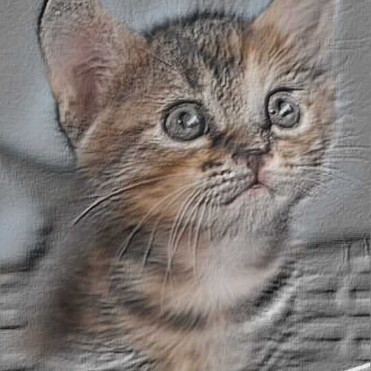 Pintura de pared del gato Fondo de Pantalla SmartPhone para Android