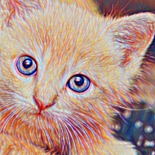 Dibujo de gato Fondo de Pantalla SmartPhone para Android