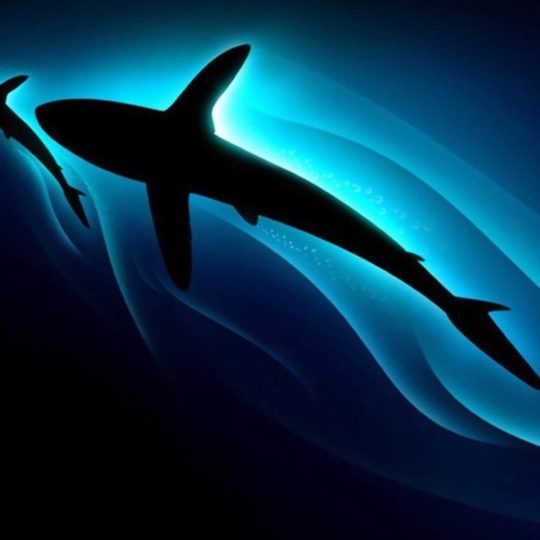 Blue Dolphin Animal negro Fondo de Pantalla SmartPhone para Android