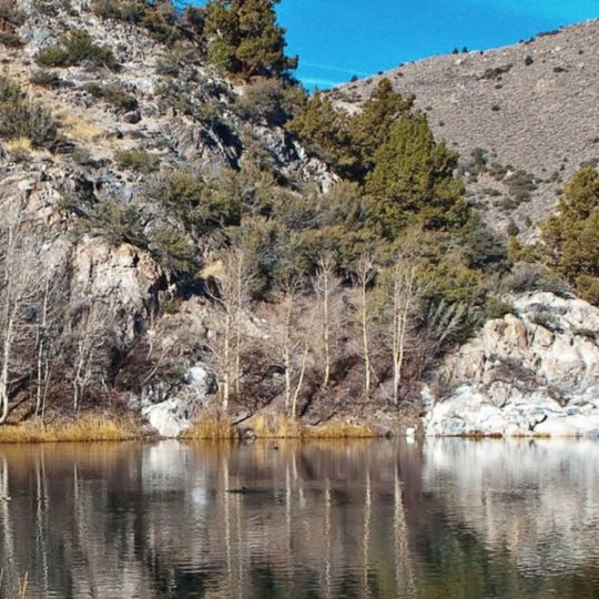 paisaje del lago Fondo de Pantalla SmartPhone para Android