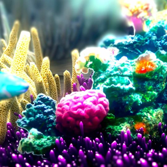 arrecife de coral natural Fondo de Pantalla SmartPhone para Android