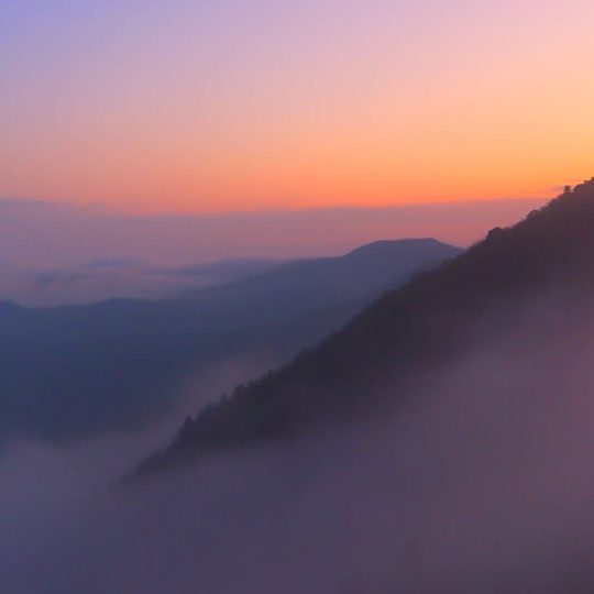 niebla paisaje Fondo de Pantalla SmartPhone para Android