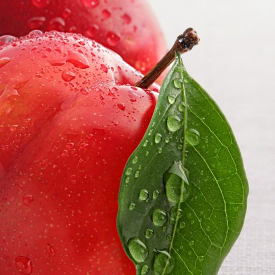 manzana rojo alimentos Fondo de Pantalla SmartPhone para Android