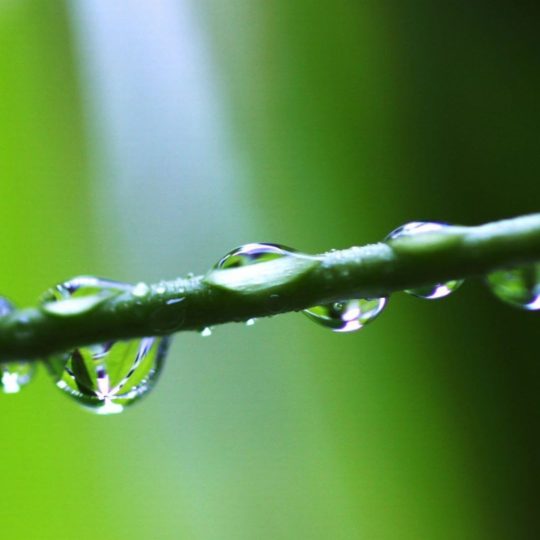 agua natural cae el verde Fondo de Pantalla SmartPhone para Android