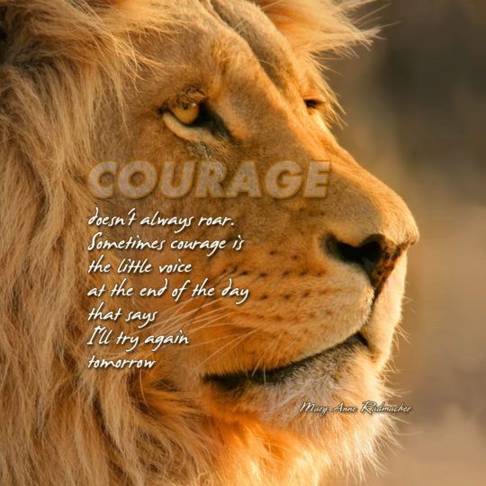 texto del animal del león Fondo de Pantalla SmartPhone para Android