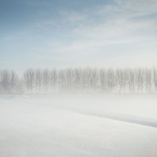 paisaje blanco Fondo de Pantalla SmartPhone para Android