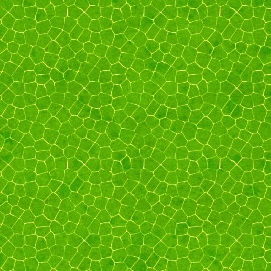 Modelo verde Fondo de Pantalla SmartPhone para Android