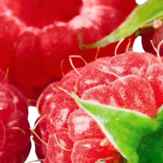 Berry alimentos Fondo de Pantalla SmartPhone para Android