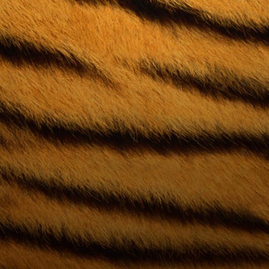 tigre patrón Fondo de Pantalla SmartPhone para Android