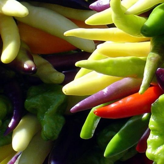 Alimentos vegetales verdes Fondo de Pantalla SmartPhone para Android