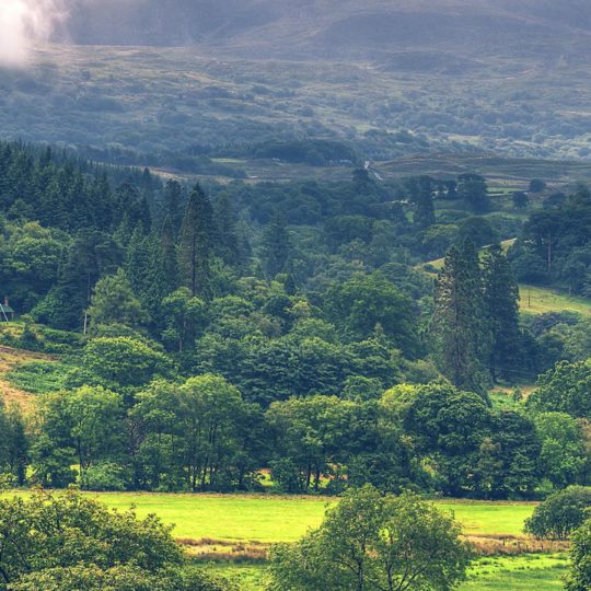 verde del paisaje Fondo de Pantalla SmartPhone para Android