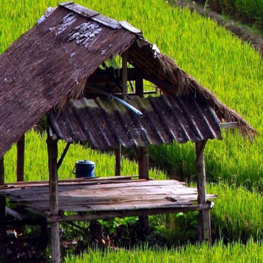 cabaña verde paisaje Fondo de Pantalla SmartPhone para Android