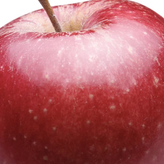 manzana rojo alimentos Fondo de Pantalla SmartPhone para Android