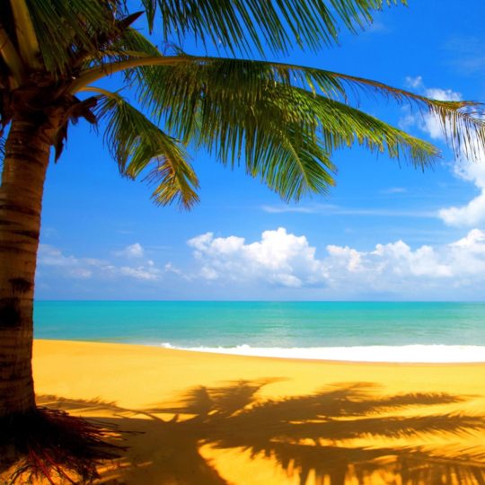 paisaje de la playa Fondo de Pantalla SmartPhone para Android