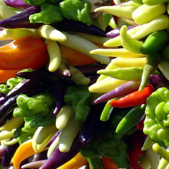 Alimentos vegetales verdes Fondo de Pantalla SmartPhone para Android