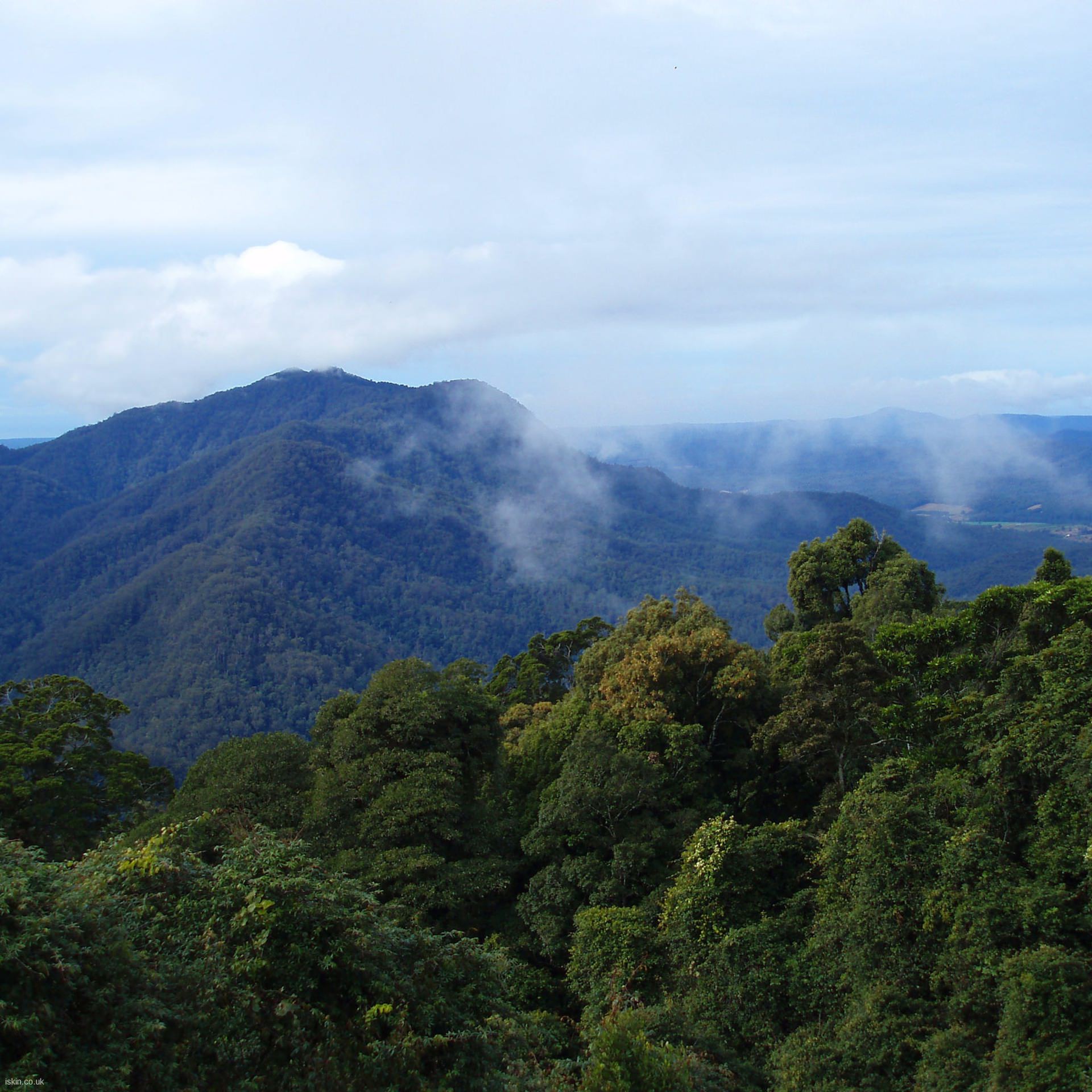 Paisaje verde césped | wallpaper.sc Android