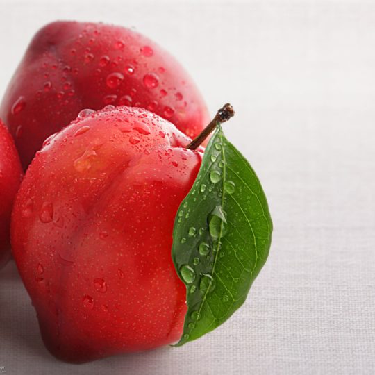 melocotón de alimentos de color rojo Fondo de Pantalla SmartPhone para Android