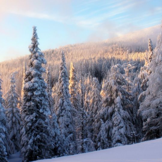 Paisaje mori nieve Fondo de Pantalla SmartPhone para Android