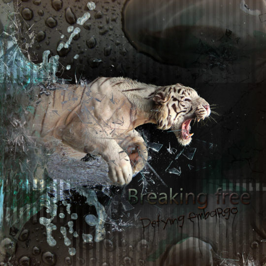 White Tiger Animal Fondo de Pantalla SmartPhone para Android