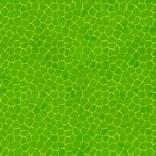 Modelo verde Fondo de Pantalla SmartPhone para Android