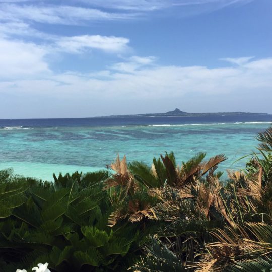 Paisaje de mar, cielo azul tropical Fondo de Pantalla SmartPhone para Android