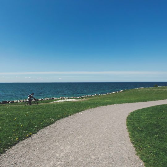paisaje del mar Camino de la hierba verde azul Fondo de Pantalla SmartPhone para Android