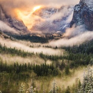 paisaje forestal Fondo de Pantalla de Apple Watch