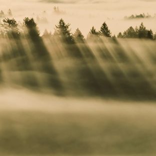 niebla paisaje Fondo de Pantalla de Apple Watch