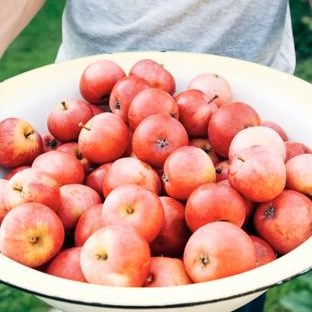 manzana rojo alimentos Fondo de Pantalla de Apple Watch