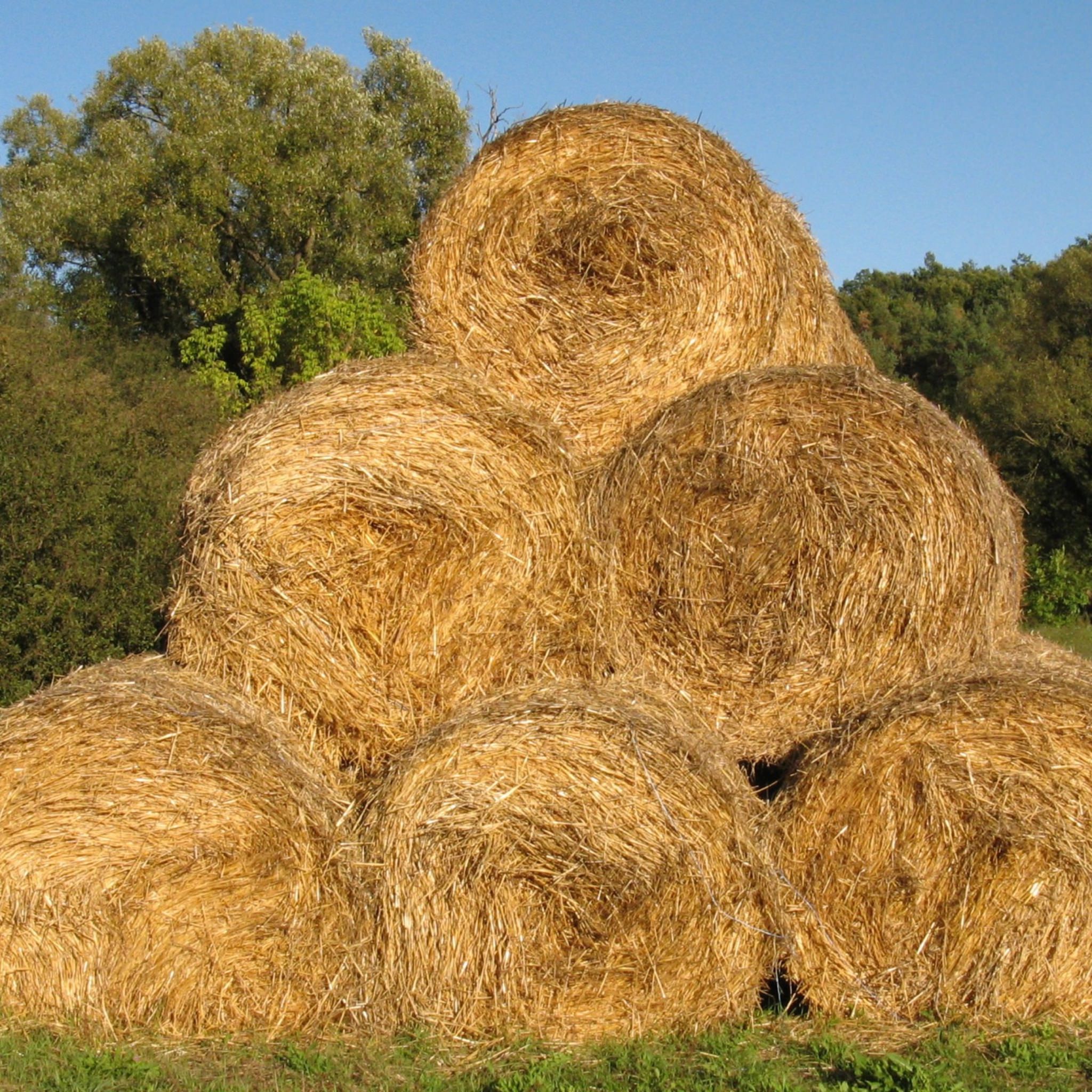 paja paisaje | wallpaper.sc iPad Tablet