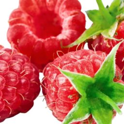 Alimentos Berry iPad / Air / mini / Pro Wallpaper