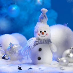 Blanco lindo muñeco de nieve iPad / Air / mini / Pro Wallpaper