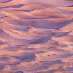 paisaje del desierto iPad / Air / mini / Pro Wallpaper