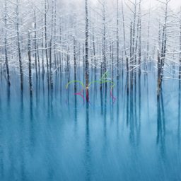 paisaje de manzana Mizu mar nieve iPad / Air / mini / Pro Wallpaper