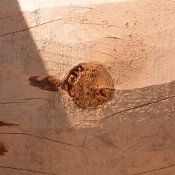 pared árbol marrón iPad / Air / mini / Pro Wallpaper