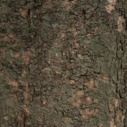 marrón árbol verde musgo iPad / Air / mini / Pro Wallpaper