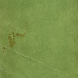 el papel de la arruga residuos verdes iPad / Air / mini / Pro Wallpaper