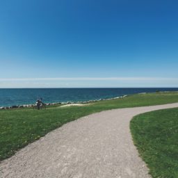 paisaje del mar Camino de la hierba verde azul iPad / Air / mini / Pro Wallpaper