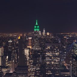 Paisaje de Nueva York Empire State Building iPad / Air / mini / Pro Wallpaper