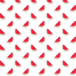 Ilustración del modelo de la fruta de la sandía favorable a las mujeres de color rojo iPad / Air / mini / Pro Wallpaper