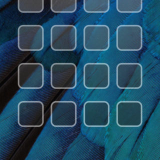 IOS9 pájaros Guay estante azul Fondo de Pantalla de iPhone4s