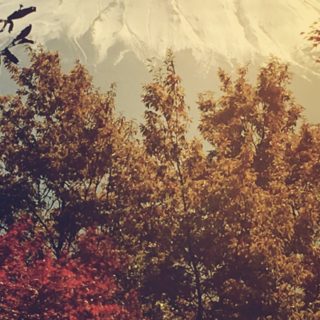 monte Fuji hojas de otoño Fondo de pantalla iPhone SE / iPhone5s / 5c / 5
