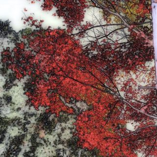 Paisaje de las hojas de otoño Fondo de pantalla iPhone SE / iPhone5s / 5c / 5