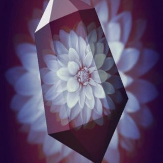 Cristal de la flor Fondo de Pantalla de iPhoneSE / iPhone5s / 5c / 5