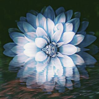 Flor fresco Fondo de pantalla iPhone SE / iPhone5s / 5c / 5